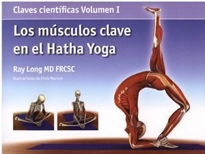 los musculos clave en el hatha yoga