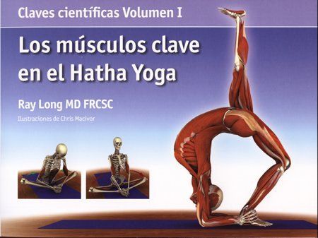 Aprende las claves para entender los músculos dentro del contexto del Hatha Yoga